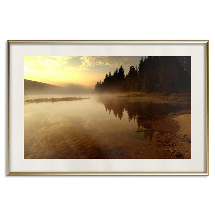 Poster Autumn Evening - autumn landscape of trees at sunset 124462 additionalImage 26