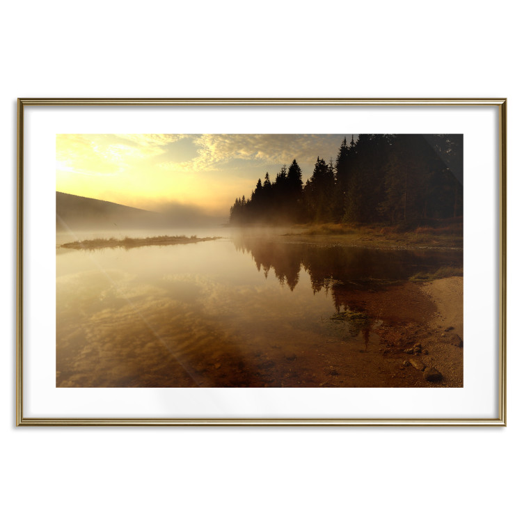 Poster Autumn Evening - autumn landscape of trees at sunset 124462 additionalImage 16