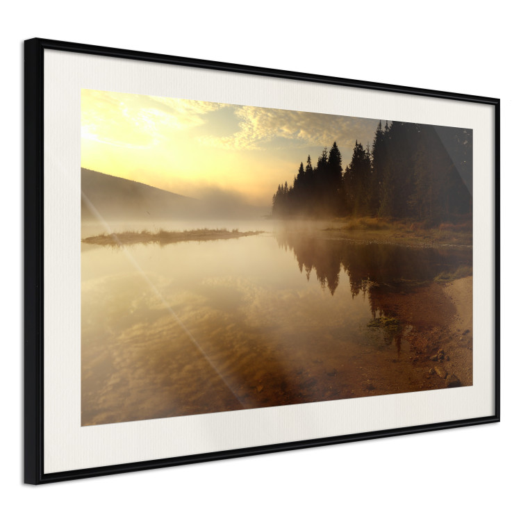 Poster Autumn Evening - autumn landscape of trees at sunset 124462 additionalImage 3