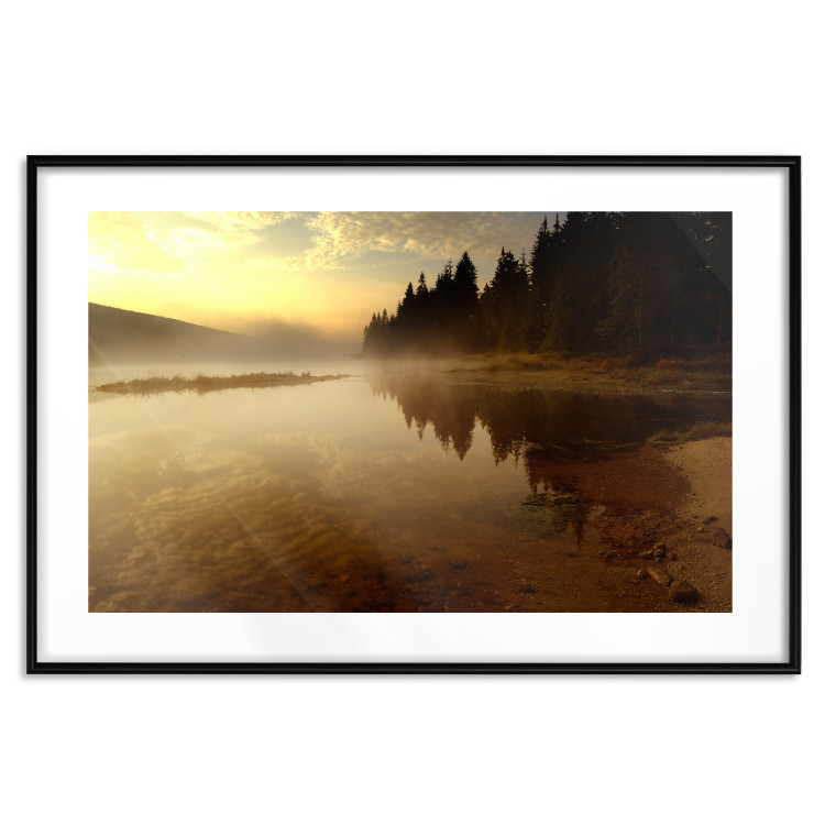 Poster Autumn Evening - autumn landscape of trees at sunset 124462 additionalImage 15