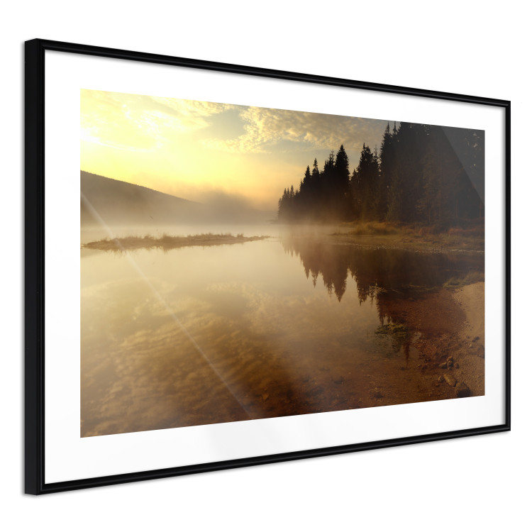 Poster Autumn Evening - autumn landscape of trees at sunset 124462 additionalImage 12