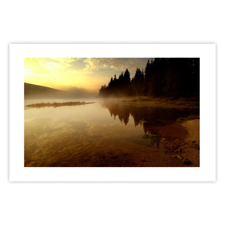 Poster Autumn Evening - autumn landscape of trees at sunset 124462 additionalImage 14