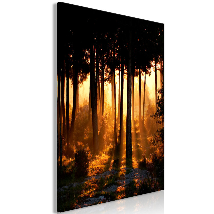 Canvas Honey Forest (1 Part) Vertical 124962 additionalImage 2