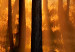 Canvas Honey Forest (1 Part) Vertical 124962 additionalThumb 4