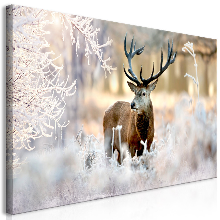 Large canvas print Deer in the Cold II [Large Format] 125562 additionalImage 2