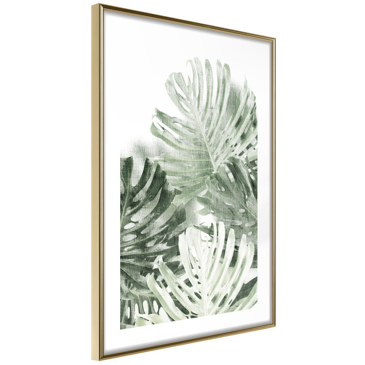 Wall Poster Cool Green - composition of green monstera leaves on a white background 126862 additionalImage 9