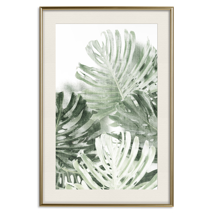 Wall Poster Cool Green - composition of green monstera leaves on a white background 126862 additionalImage 20