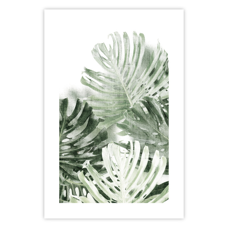 Wall Poster Cool Green - composition of green monstera leaves on a white background 126862 additionalImage 25