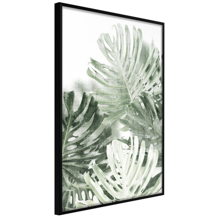 Wall Poster Cool Green - composition of green monstera leaves on a white background 126862 additionalImage 11