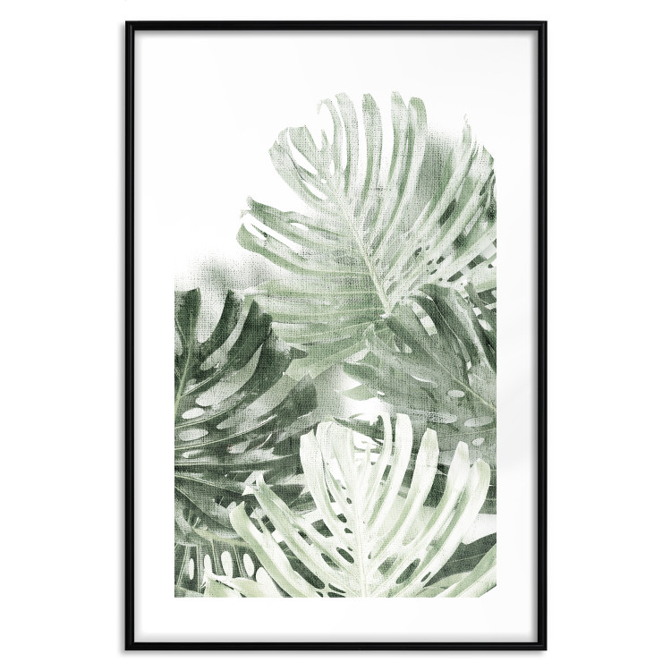 Wall Poster Cool Green - composition of green monstera leaves on a white background 126862 additionalImage 15