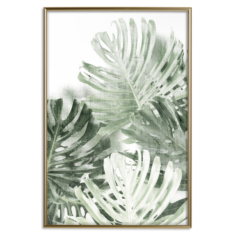 Wall Poster Cool Green - composition of green monstera leaves on a white background 126862 additionalImage 21