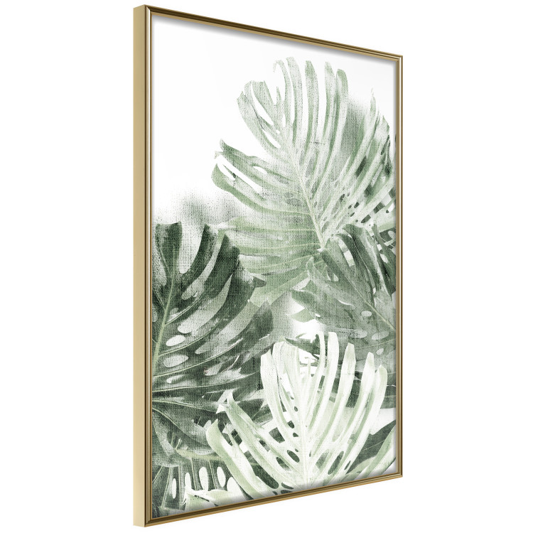 Wall Poster Cool Green - composition of green monstera leaves on a white background 126862 additionalImage 12