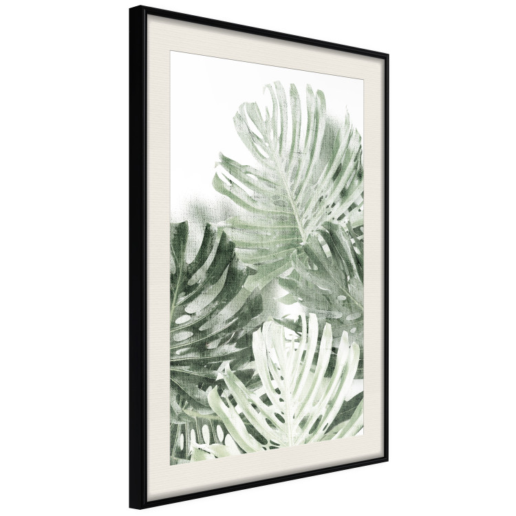 Wall Poster Cool Green - composition of green monstera leaves on a white background 126862 additionalImage 2