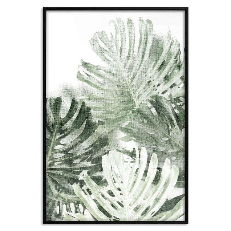 Wall Poster Cool Green - composition of green monstera leaves on a white background 126862 additionalImage 18