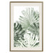 Wall Poster Cool Green - composition of green monstera leaves on a white background 126862 additionalThumb 20