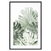 Wall Poster Cool Green - composition of green monstera leaves on a white background 126862 additionalThumb 15