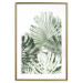 Wall Poster Cool Green - composition of green monstera leaves on a white background 126862 additionalThumb 16
