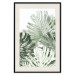 Wall Poster Cool Green - composition of green monstera leaves on a white background 126862 additionalThumb 19