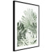 Wall Poster Cool Green - composition of green monstera leaves on a white background 126862 additionalThumb 6