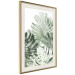 Wall Poster Cool Green - composition of green monstera leaves on a white background 126862 additionalThumb 3