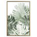 Wall Poster Cool Green - composition of green monstera leaves on a white background 126862 additionalThumb 17