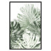 Wall Poster Cool Green - composition of green monstera leaves on a white background 126862 additionalThumb 18