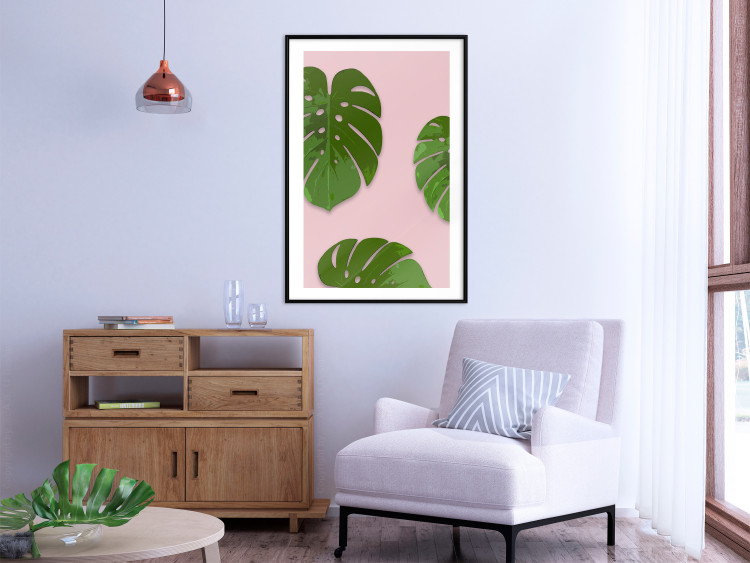 Poster Fragment of Exoticism - tropical green monstera leaves on a pink background 127062 additionalImage 14