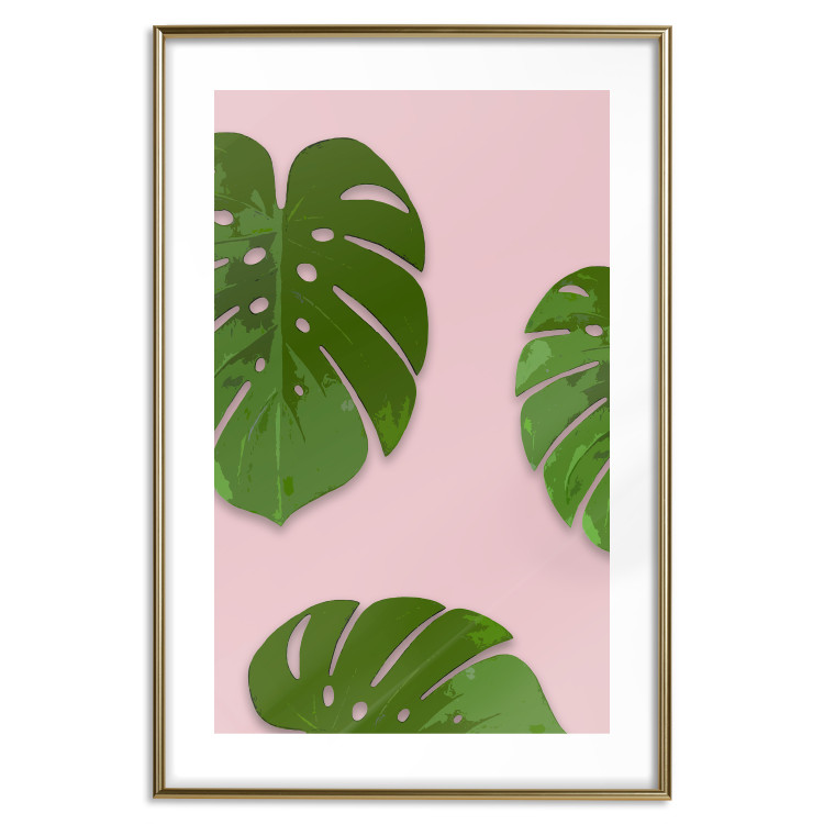 Poster Fragment of Exoticism - tropical green monstera leaves on a pink background 127062 additionalImage 16