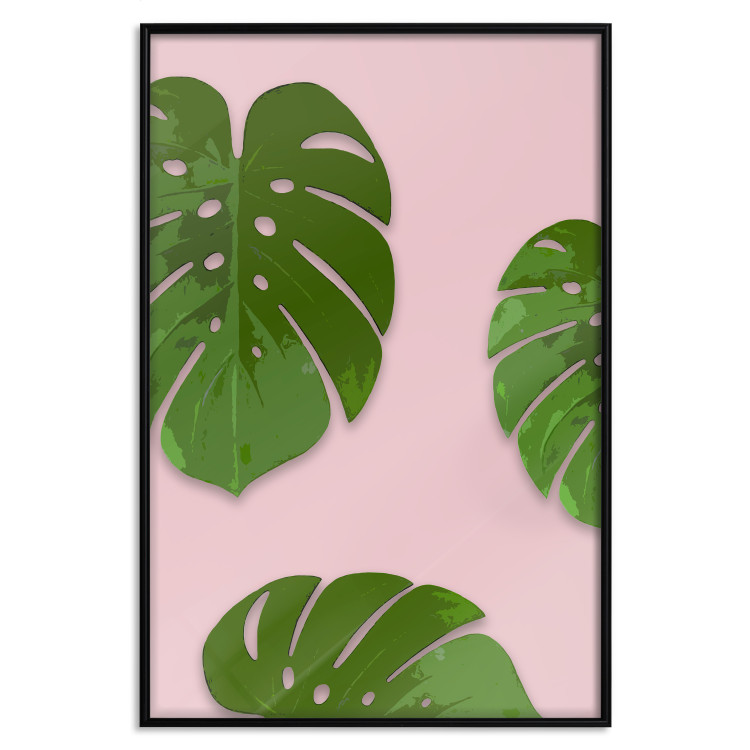 Poster Fragment of Exoticism - tropical green monstera leaves on a pink background 127062 additionalImage 20