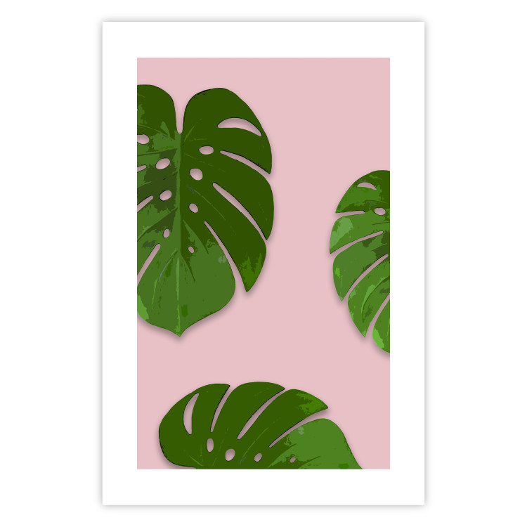 Poster Fragment of Exoticism - tropical green monstera leaves on a pink background 127062 additionalImage 19