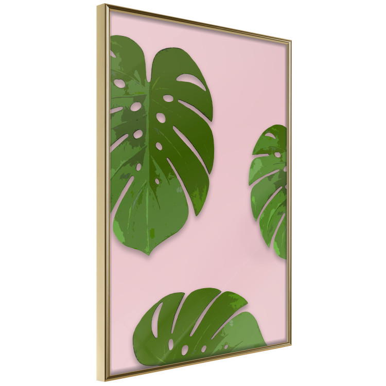 Poster Fragment of Exoticism - tropical green monstera leaves on a pink background 127062 additionalImage 12