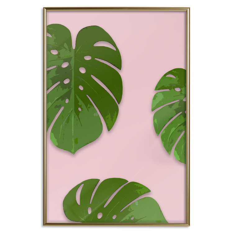 Poster Fragment of Exoticism - tropical green monstera leaves on a pink background 127062 additionalImage 18