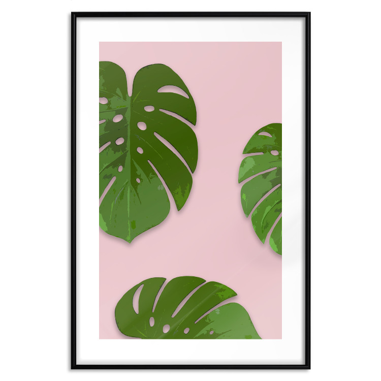 Poster Fragment of Exoticism - tropical green monstera leaves on a pink background 127062 additionalImage 15