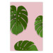 Poster Fragment of Exoticism - tropical green monstera leaves on a pink background 127062