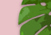 Poster Fragment of Exoticism - tropical green monstera leaves on a pink background 127062 additionalThumb 9