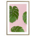 Poster Fragment of Exoticism - tropical green monstera leaves on a pink background 127062 additionalThumb 16
