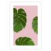 Poster Fragment of Exoticism - tropical green monstera leaves on a pink background 127062 additionalThumb 19