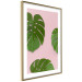 Poster Fragment of Exoticism - tropical green monstera leaves on a pink background 127062 additionalThumb 7