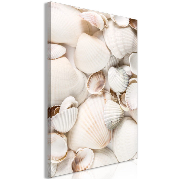 Canvas Art Print Marine Collection (1-part) vertical - landscape of various sea shells 129462 additionalImage 2