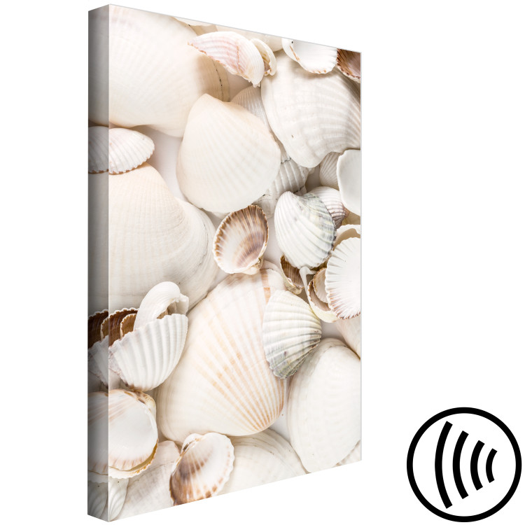 Canvas Art Print Marine Collection (1-part) vertical - landscape of various sea shells 129462 additionalImage 6