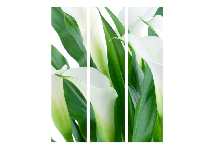 Room Separator Bouquet - Callas (3-piece) - white flowers among green leaves 132662 additionalImage 3