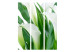 Room Separator Bouquet - Callas (3-piece) - white flowers among green leaves 132662 additionalThumb 3