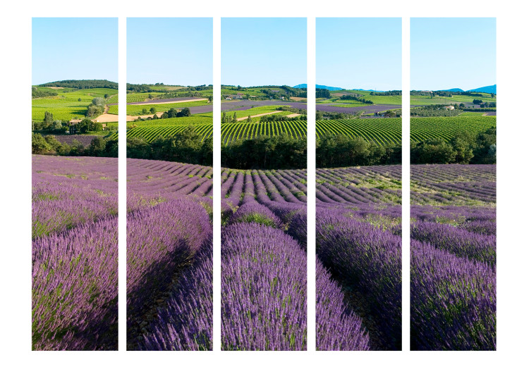 Room Divider Lavender Fields II (5-piece) - Provencal landscape of blooming nature 134162 additionalImage 3