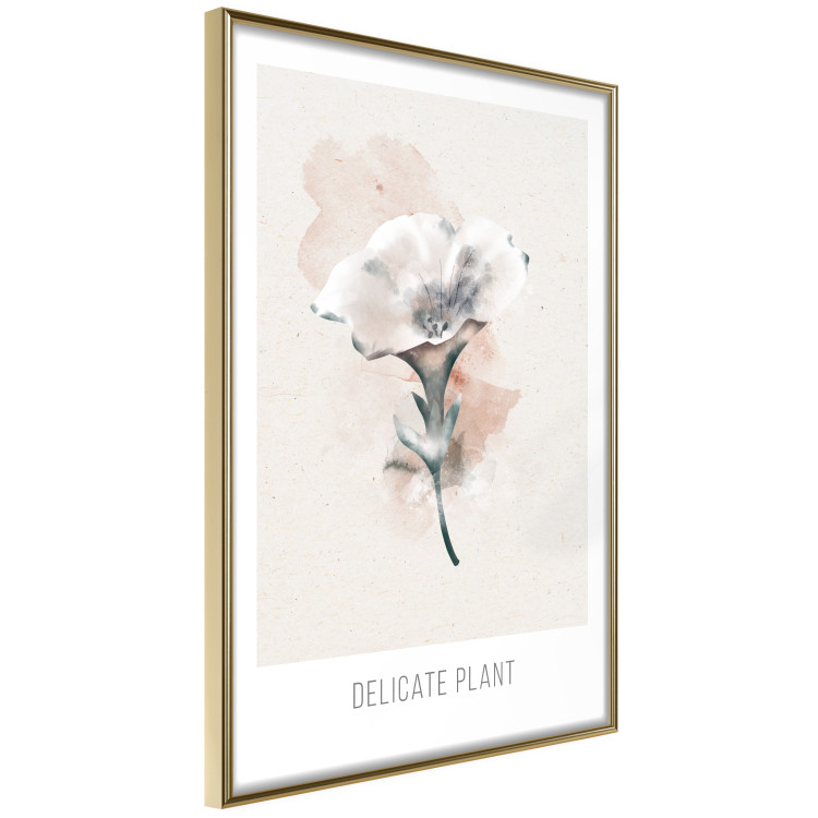 Wall Poster Delicate Plant [Poster] 142562 additionalImage 16