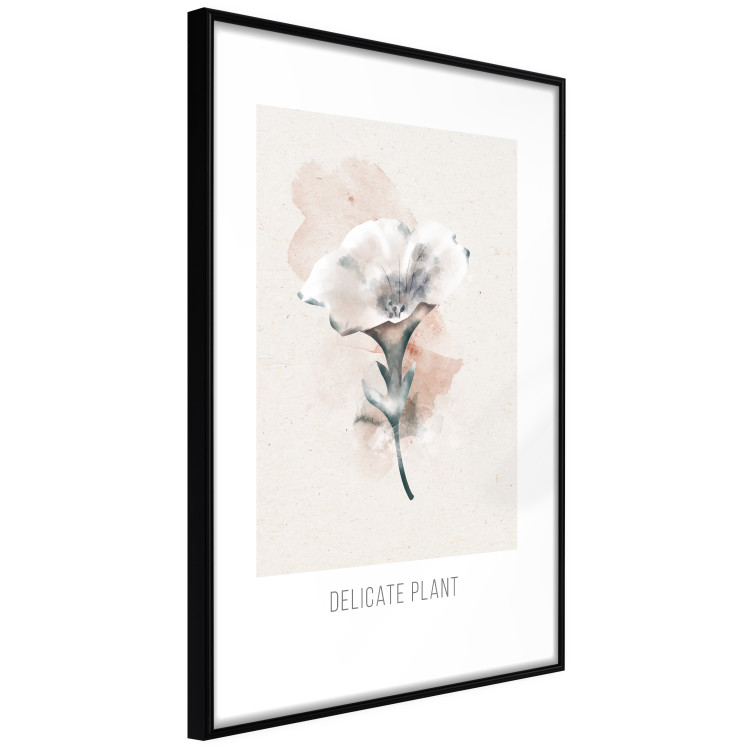 Wall Poster Delicate Plant [Poster] 142562 additionalImage 19