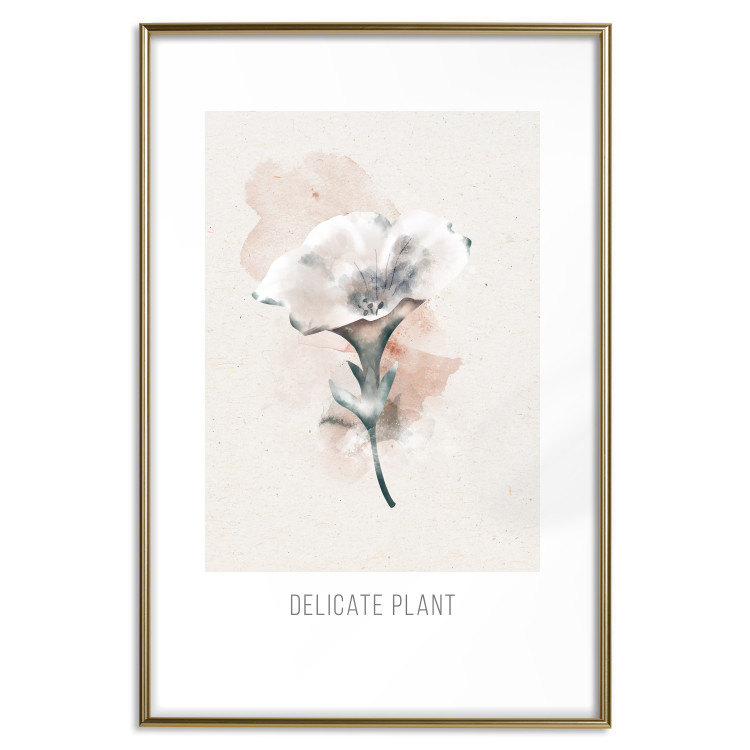 Wall Poster Delicate Plant [Poster] 142562 additionalImage 11