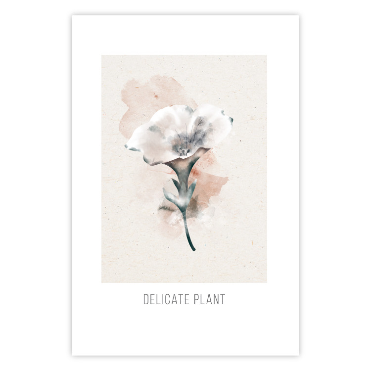 Wall Poster Delicate Plant [Poster] 142562 additionalImage 9