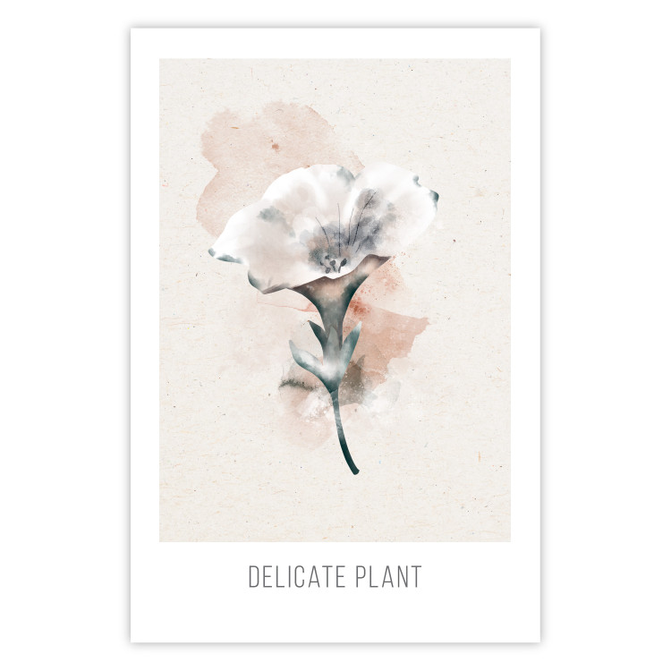 Wall Poster Delicate Plant [Poster] 142562