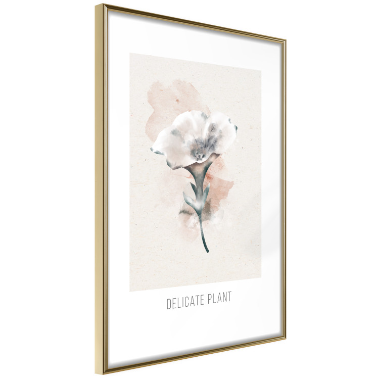 Wall Poster Delicate Plant [Poster] 142562 additionalImage 17
