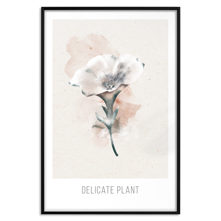 Wall Poster Delicate Plant [Poster] 142562 additionalImage 7